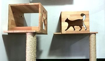 patilee-kedi-konaklama-06